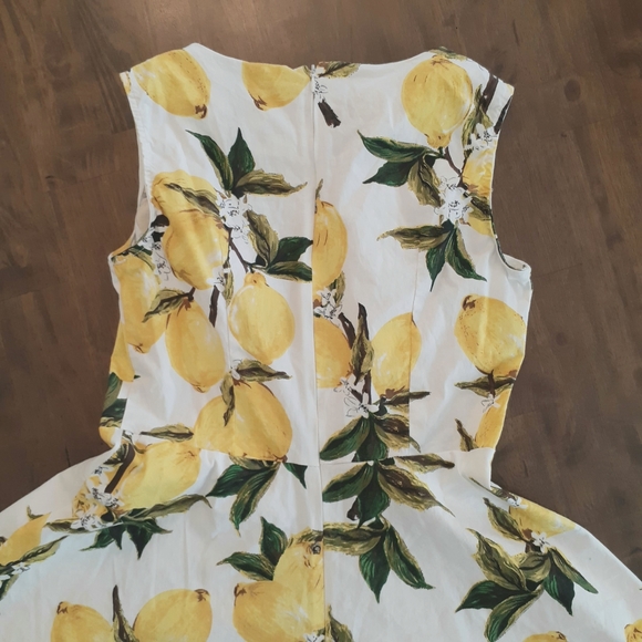 Lemon Print Fit and Flare Dress - Picture 7 of 10